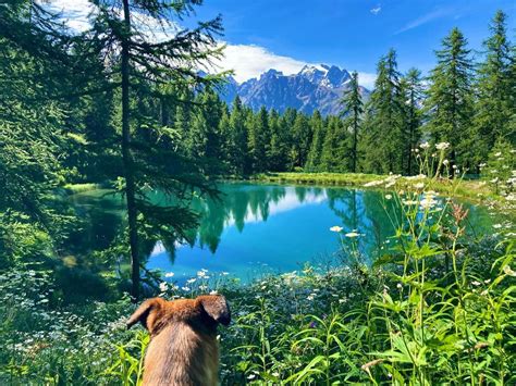 lac hermes|Tête d'Oréac .